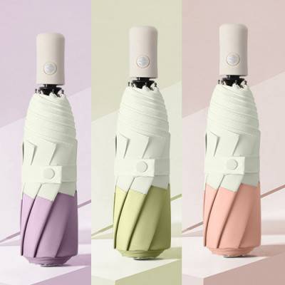 3단암막양우산 투톤 라이트